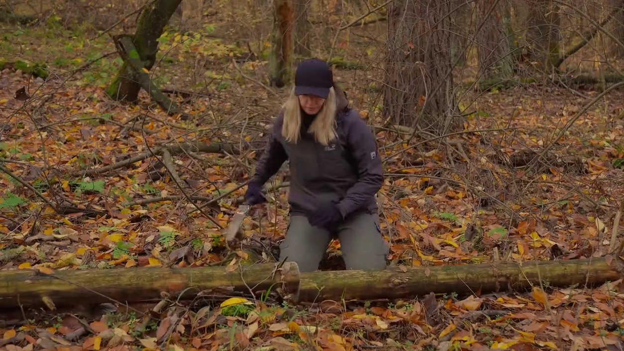 在一棵老树下建造一个温暖舒适的秘密小屋。