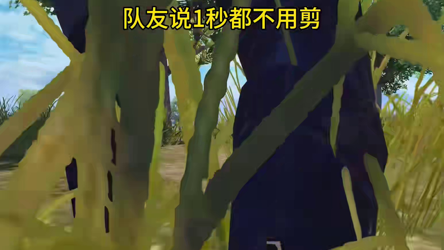 队友说1秒都不用剪