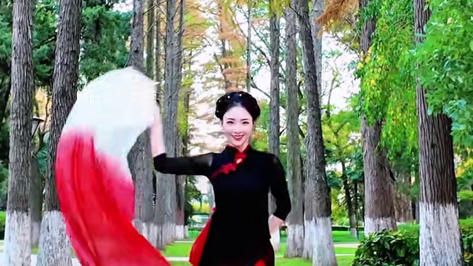 “她是踏碎星河落入我梦境的幻想”