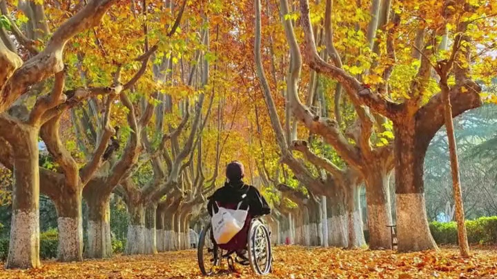 这些偶然瞬间真的宿命感拉满