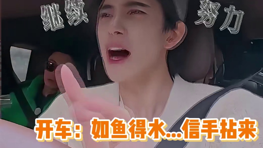 男明星和女明星开车，差别也太大了吧！