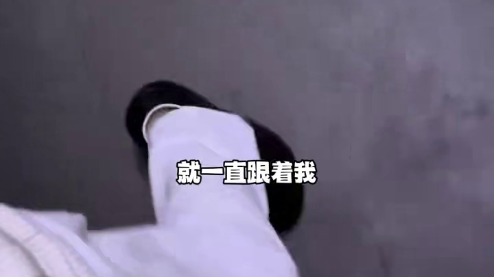 谁家的猫咪走丢了啊？