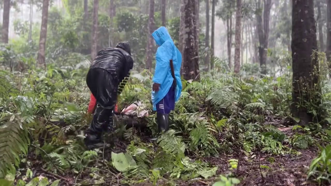 暴雨中如何搭建天然庇护所，暴雨雷暴天气下的野外生存！