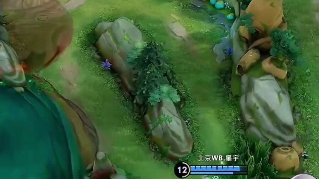 KPL卧底AG占一半