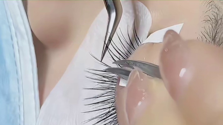 用上帝的视角去看人类