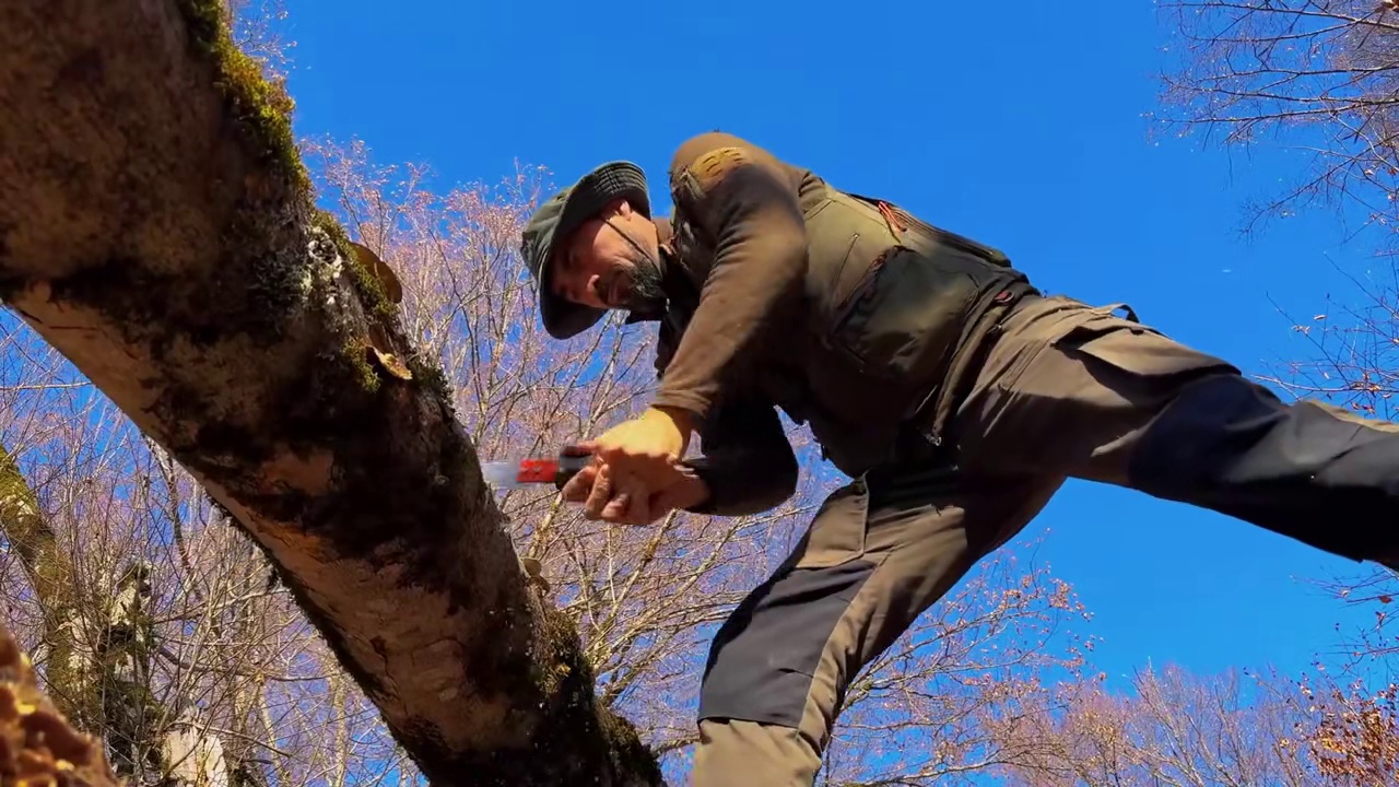 独自一人在倒下的巨木下进行野外生存露营 之作苔藓屋顶庇护所和瑞典火炬炖菜。 #