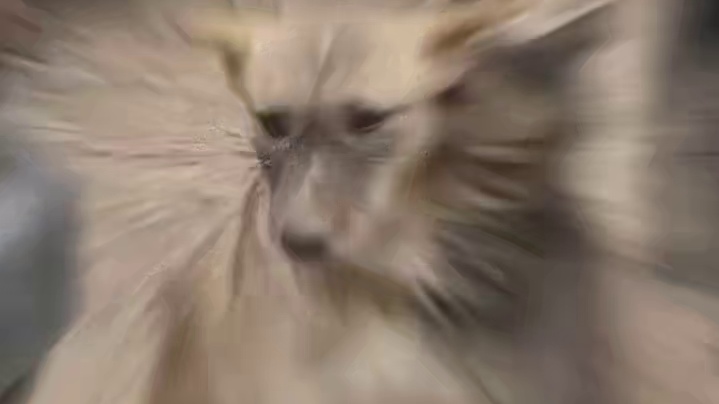 狗哥我就知道你最疼我了捏