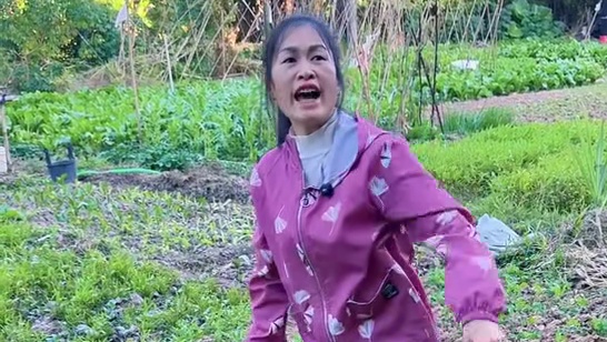 麻辣牛肚香辣气息瞬间炸场 脆弹口感 裹着红油真是绝了