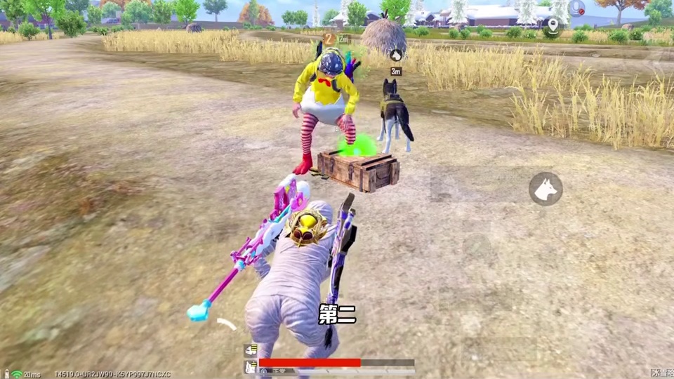 狗比队友有用的3个证据