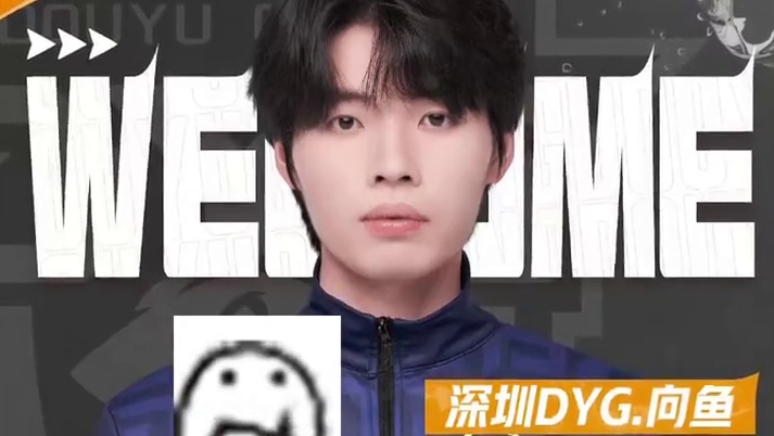 DYG认证向鱼的性价比！Gemini：增援一名大将！ 深圳DYG向鱼
