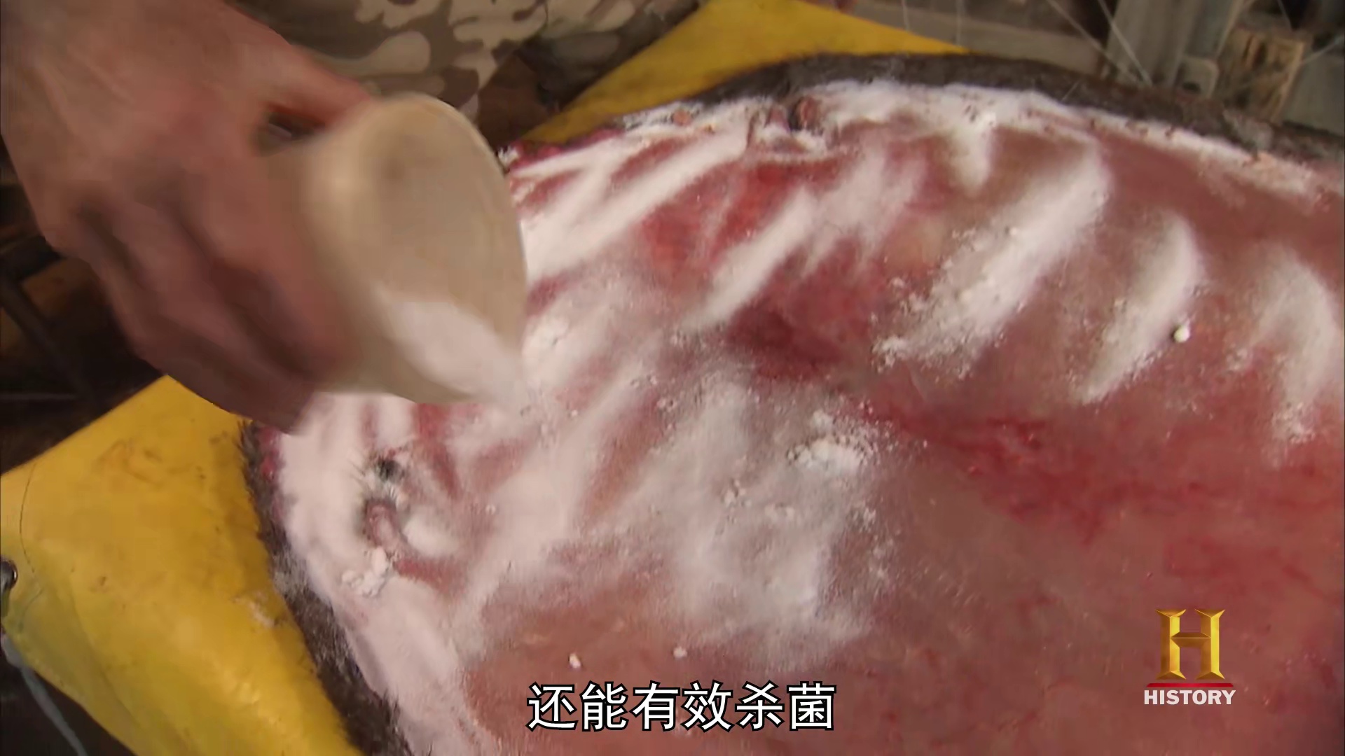 山地硬汉：狩猎麋鹿，诱捕松貂，处理鹿皮