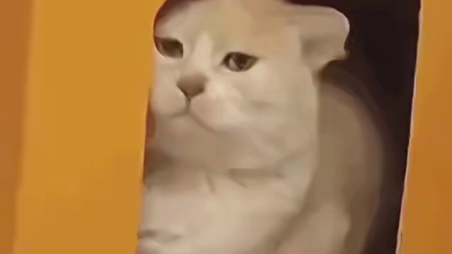 姐，我愿尊称你为女士