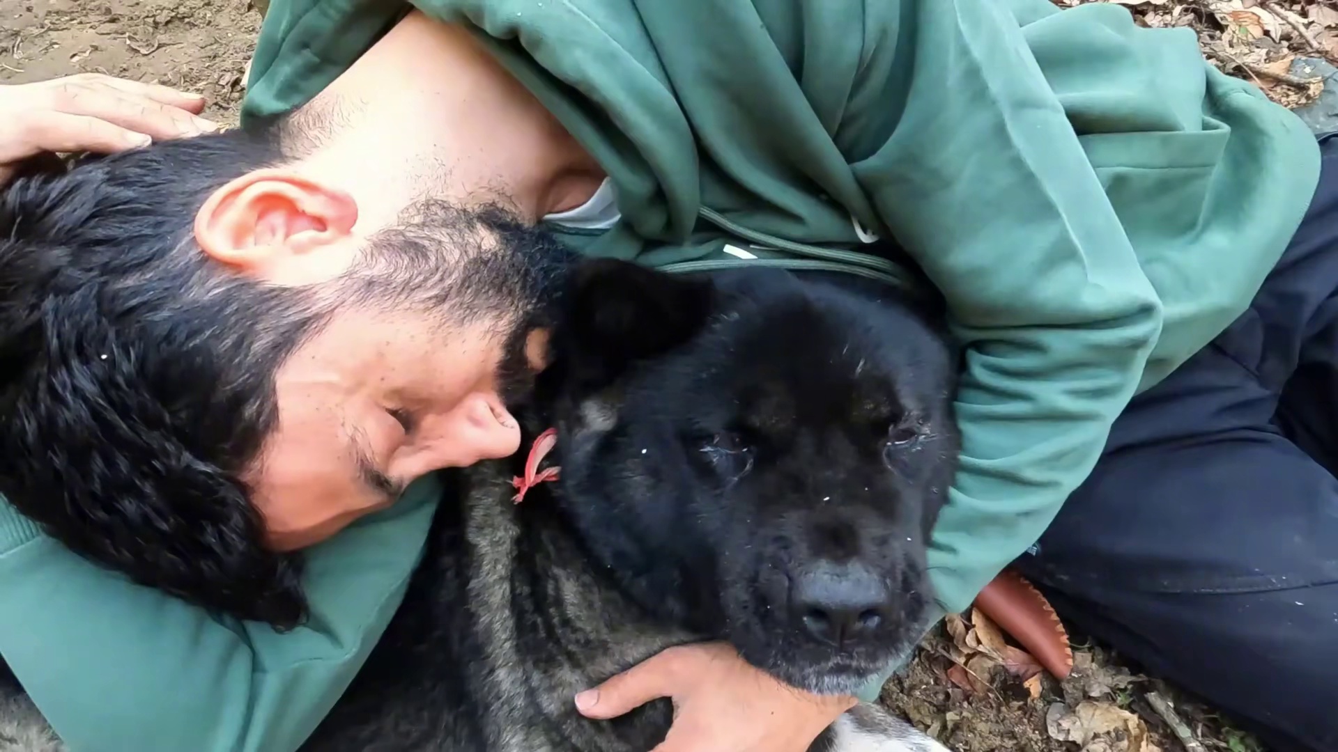 第1集：男人在河边搭建木屋，和狗子过上远离城市喧嚣的生活