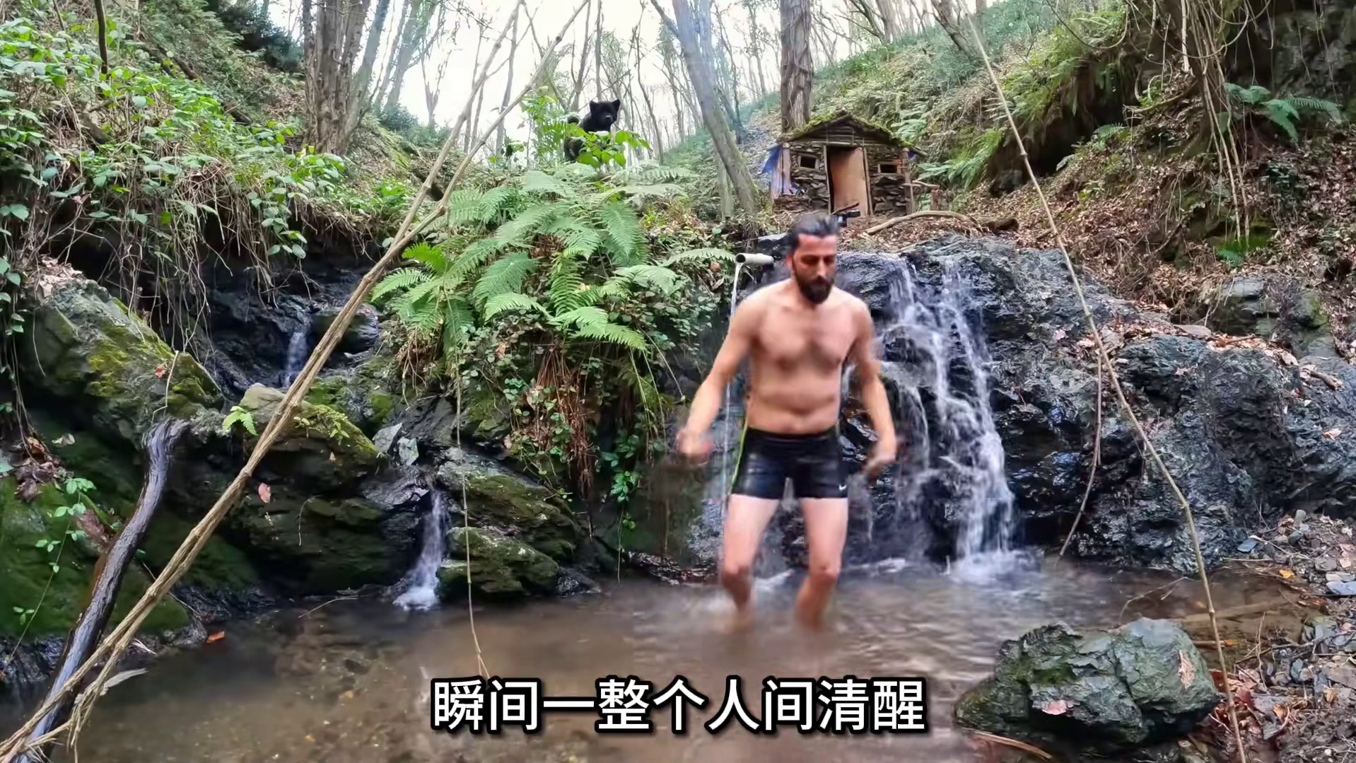 第2集：男人在河边搭建木屋，和狗子过上远离城市喧嚣的生活