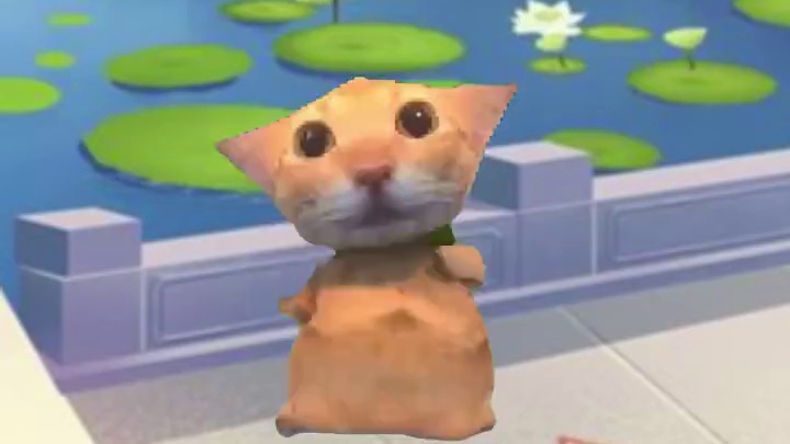 都来杭州看秋决了吗？西湖洗车了解一下~ #meme #阿米嘎蒂朵喵喵 #2025S联赛秋季赛 #QQ