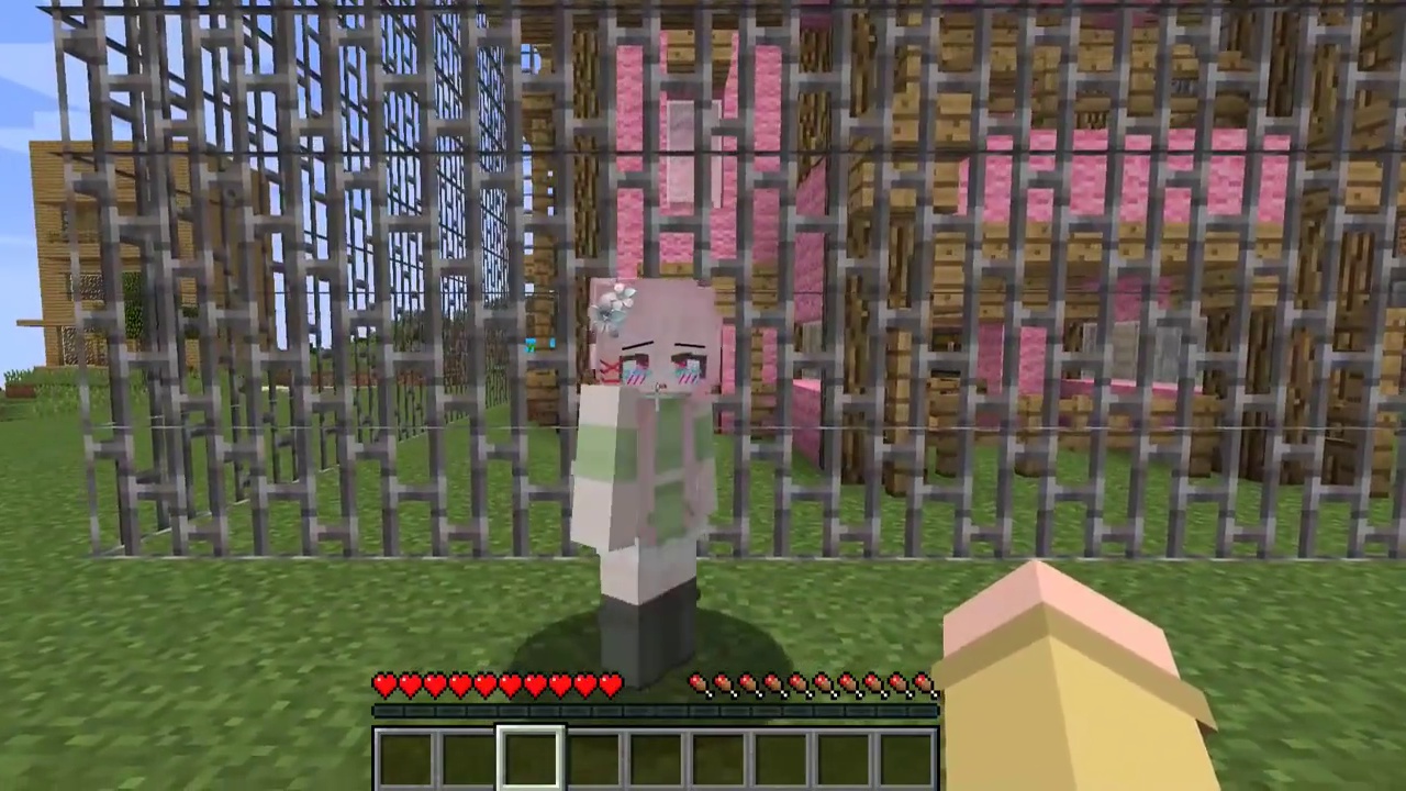 我一定是太想你们了才会做这样的梦.... #我的世界