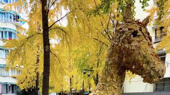 杭州后市街银杏小马和松鼠都好可爱，目前银杏黄了三分之二，已经很好看了，可以坐地铁到定安路，然后走过去