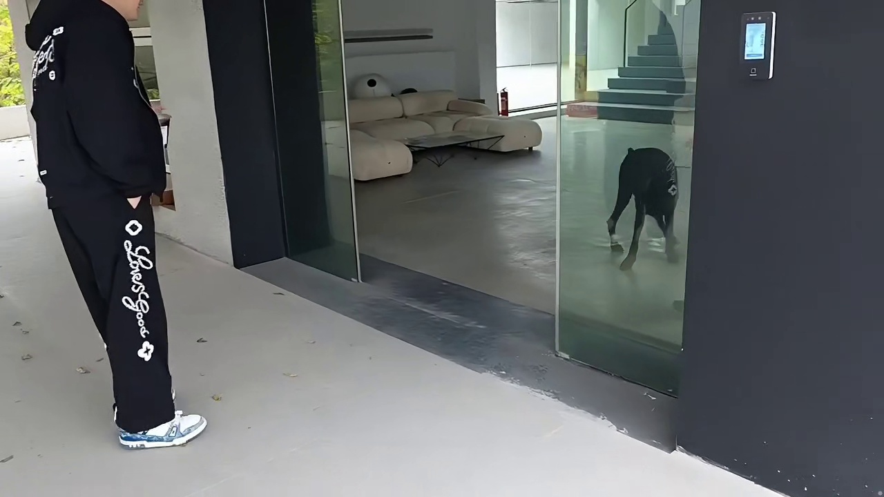 小酷新场地骑车遭驱赶！差点被咬