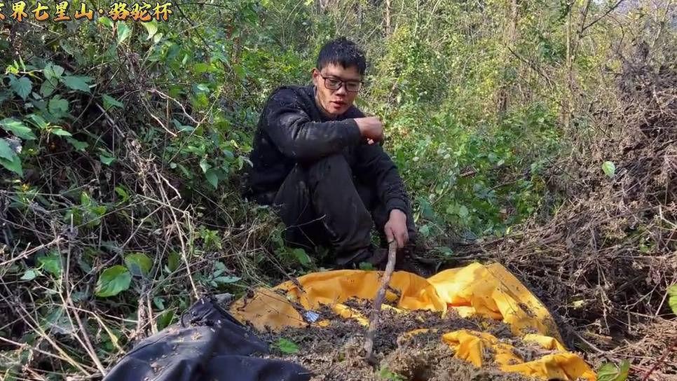 是荒野，也是无限！ 第二届中国张家界“七星山·骆驼杯”极限荒野挑战赛，决赛第八天#荒野求生#张家界七