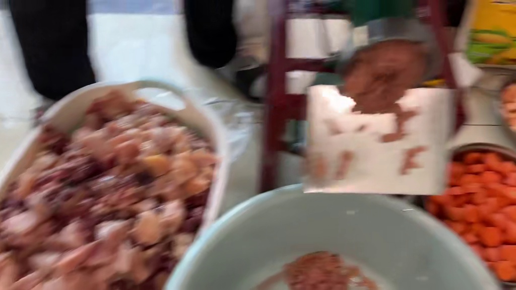 给狗狗自制狗粮，当狗粮出锅那一刻，二哈的反应把我惊呆了 #二哈 #哈士奇 #萌宠出道计划 #神奇动物