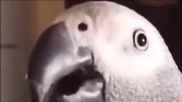 永劫职业联赛来到肘年？！王梁下判断：未来三年周子耀都保持这种强度！ #永劫无间 #我的永劫无间故事 