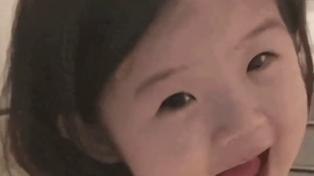 猫：人，拿去玩呀。