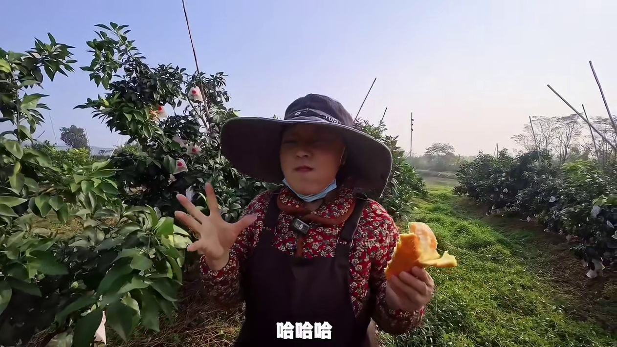 “偷”这个动作终于还是传到了洛带！洛带也能正大光明的偷杆子了！#偷杆子 #能不能硬控你几秒 #臻苓果