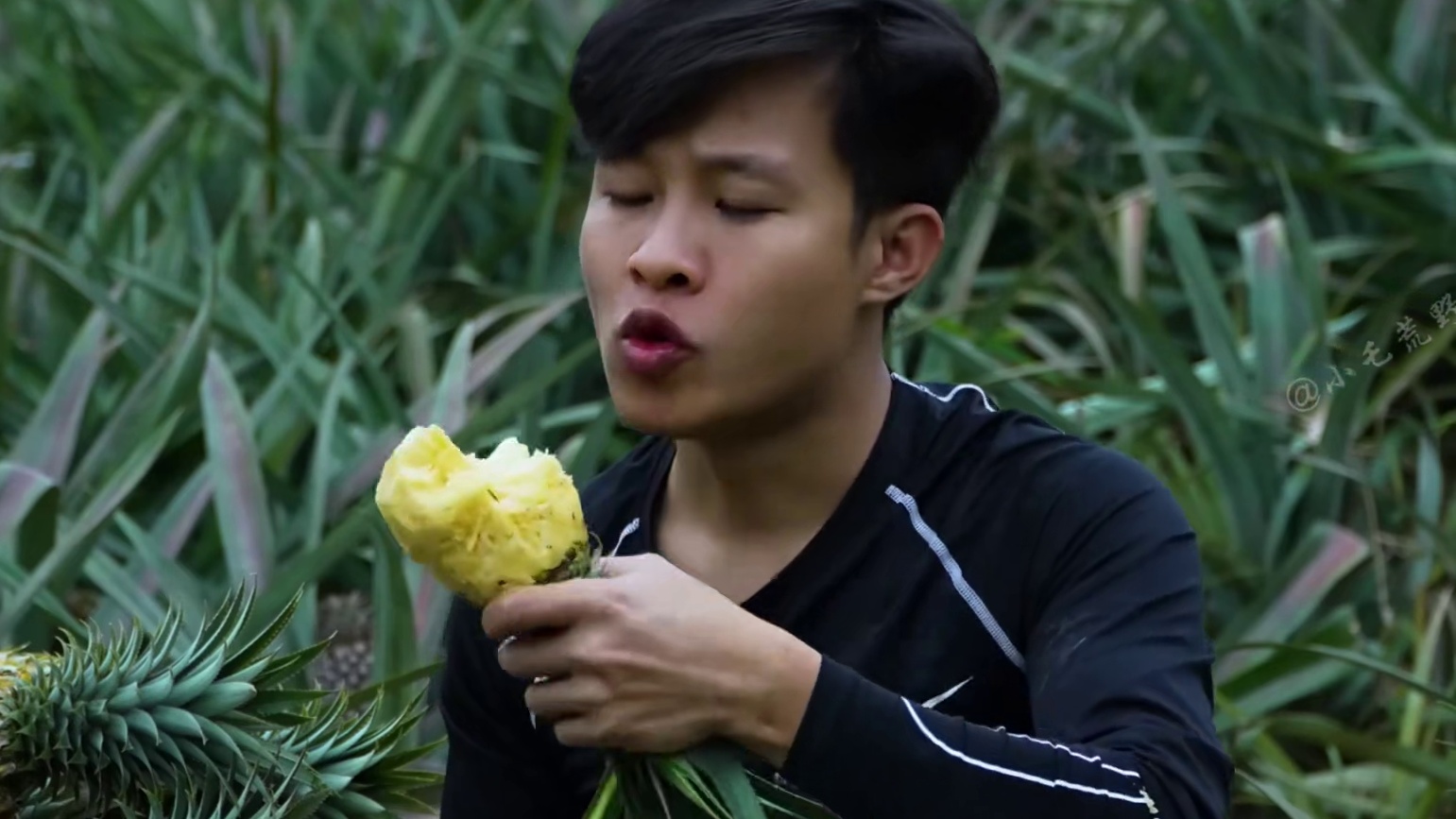 小伙在野外耗时两年半，将无人问津的杂草荒地改造成世外桃源！ #野外建造 #荒野建造 #原始技术 #解