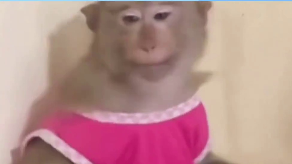 快让我摸摸我的电子宝宝