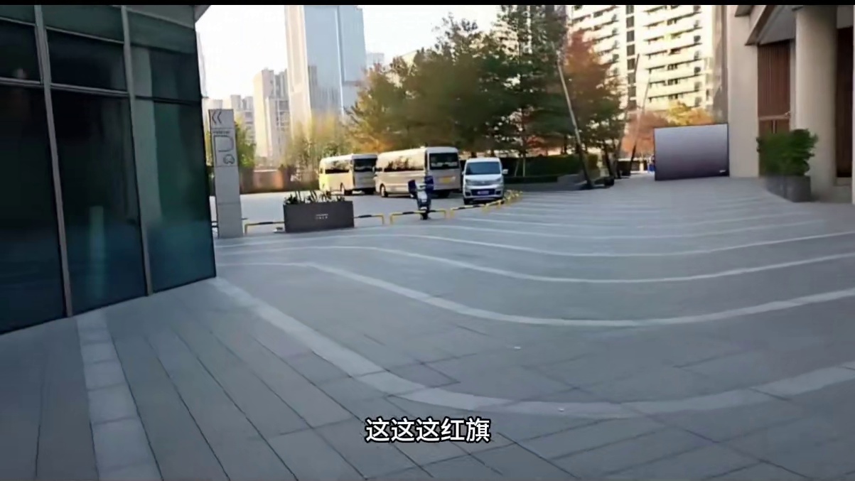 红旗考斯特#小小小酷哥 #红旗 #国礼 #考斯特 #名场面