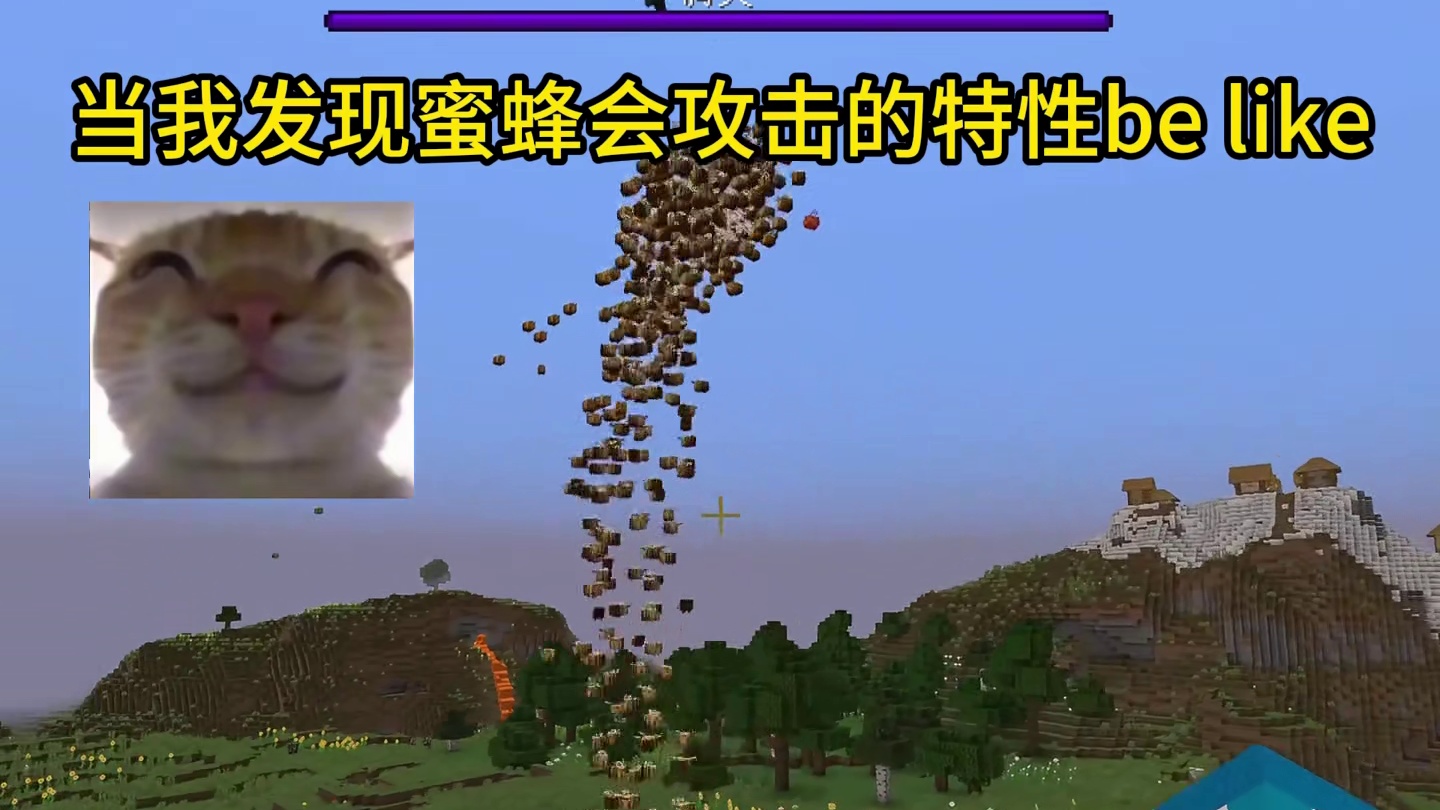 我的世界：当我发现蜜蜂会攻击的特性be like#我的世界 #mc不灭 #mc