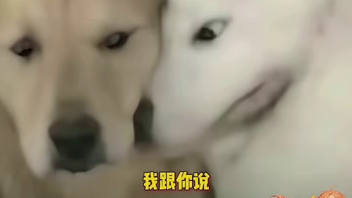 朋友机械高达你送不起，扎丝版高达一定会扎的吧