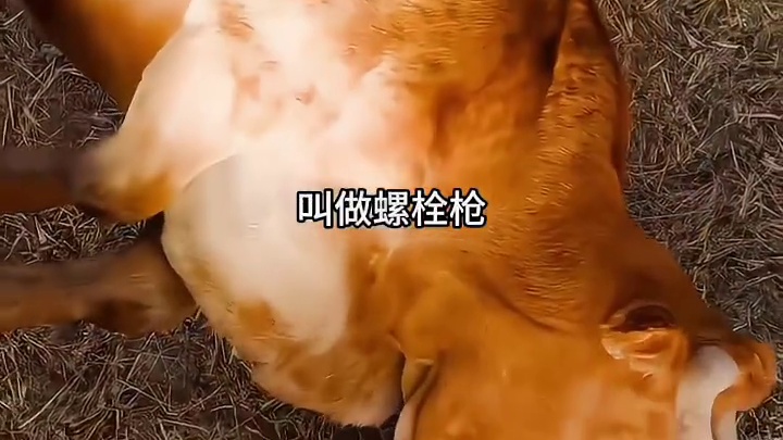 《给牛画眼睛》用意何在