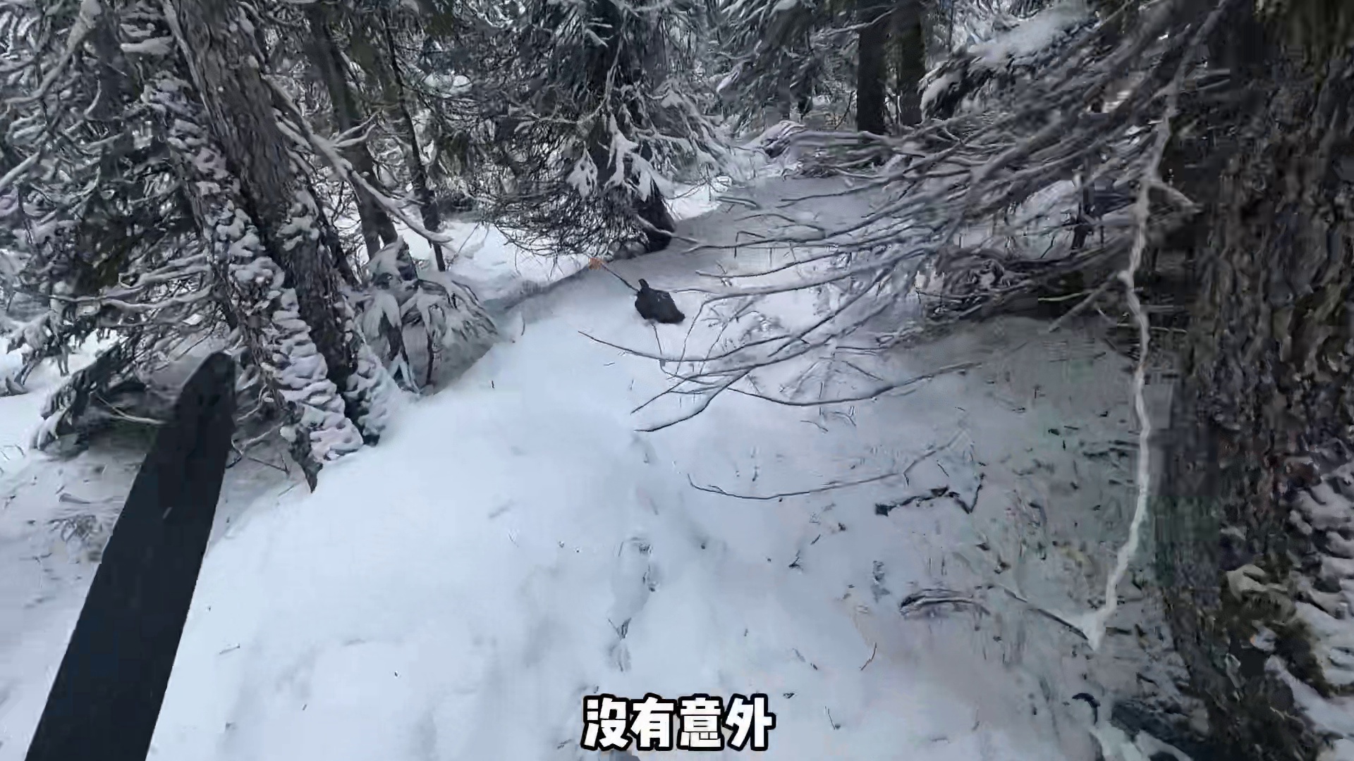 荒野独居番外版鏖战了五十天终于诞生了有史以来第一位女性冠军 (2)