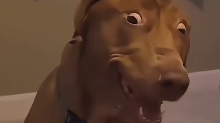 打破了我对外国人的刻板印象，外国人好多社恐