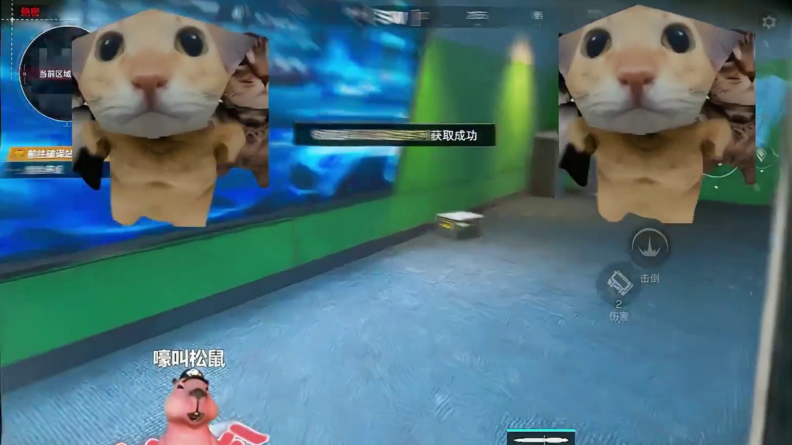 是来看我出货呢，还是来看跳舞又或者是听音乐呢？