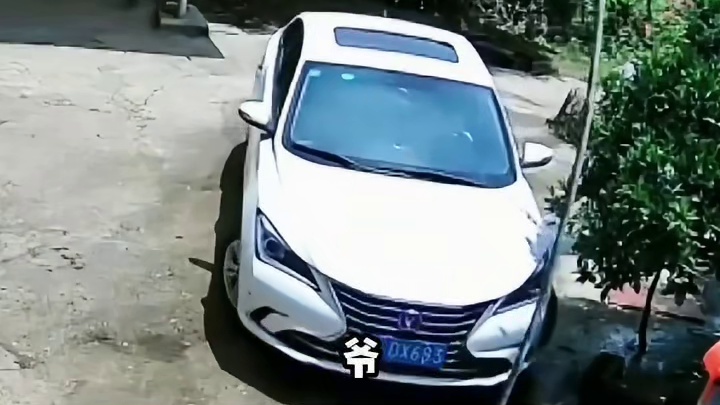 车技不行不行的[捂脸]