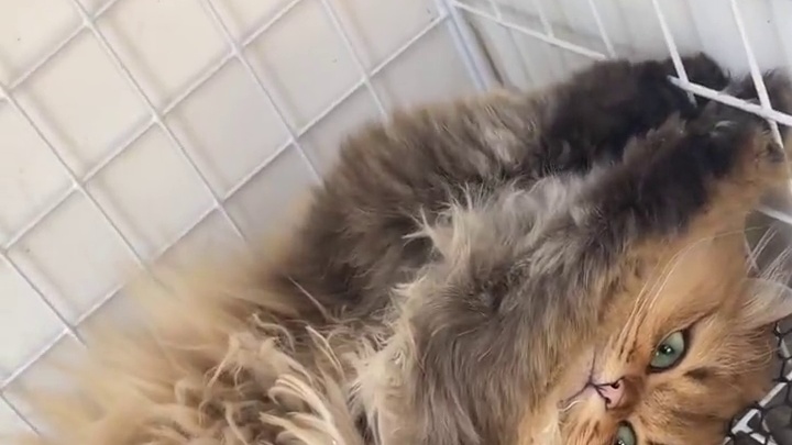 关于他爸知道她宝贝闺女睡在外面厕所旁边……