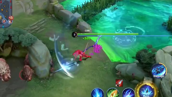 看看王者越南服的澜