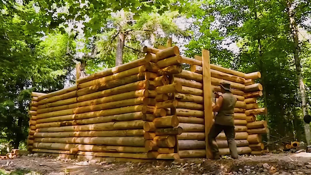 男人砍下上百棵雪松，在野外徒手打造3室1厅#户外 #建造 #野外 #舒适