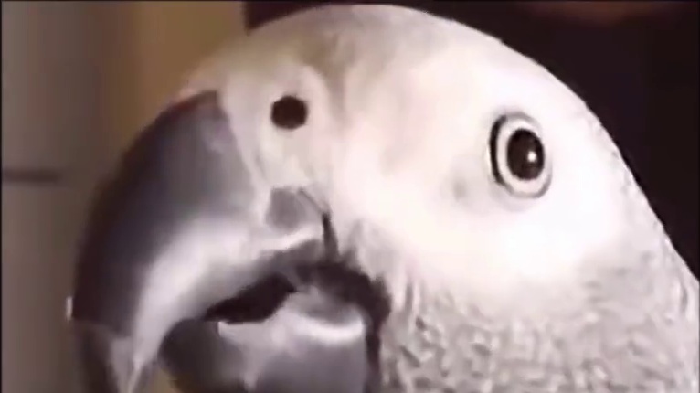 吐纳术立大功！深渊从丝血差点淘汰到决赛圈超帅一套秒！太不可思议了！ #永劫无间 #我的永劫无间故事 