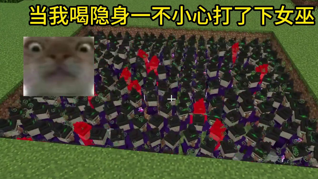 我的世界：当我喝隐身一不小心打了下女巫#我的世界 #mc不灭 #mc