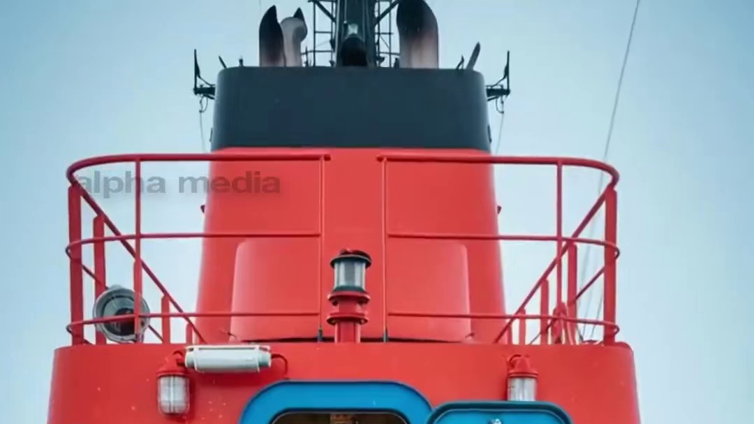 狗子和老鹰合作脱离危险