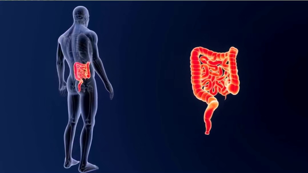 近四成儿童存在肠道问题，家长必读护肠知识！