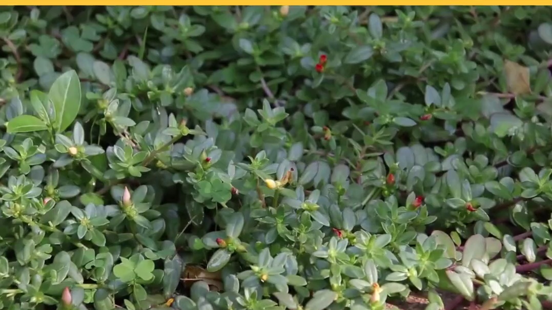 这样睡大脑更容易出问题