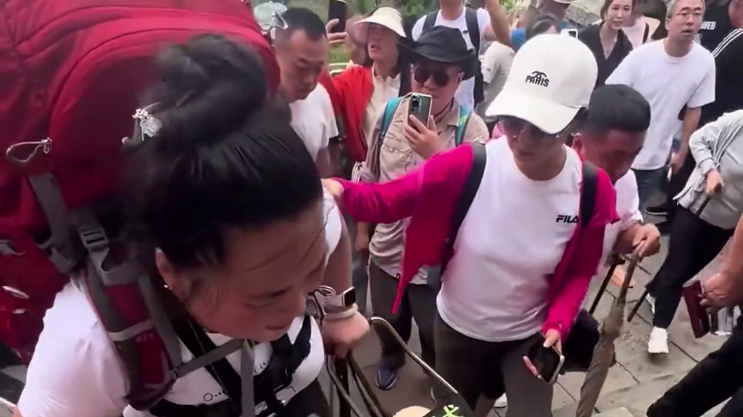 是励志还是伤害，盲人夫妻拉着5岁导盲犬爬泰山