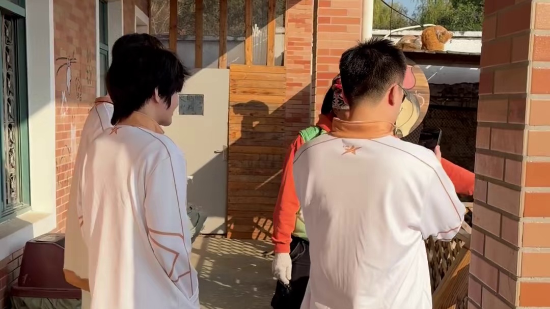 Tarzan带Crisp去看猪：这里有呼吸，有呼吸的兄弟 ​​​