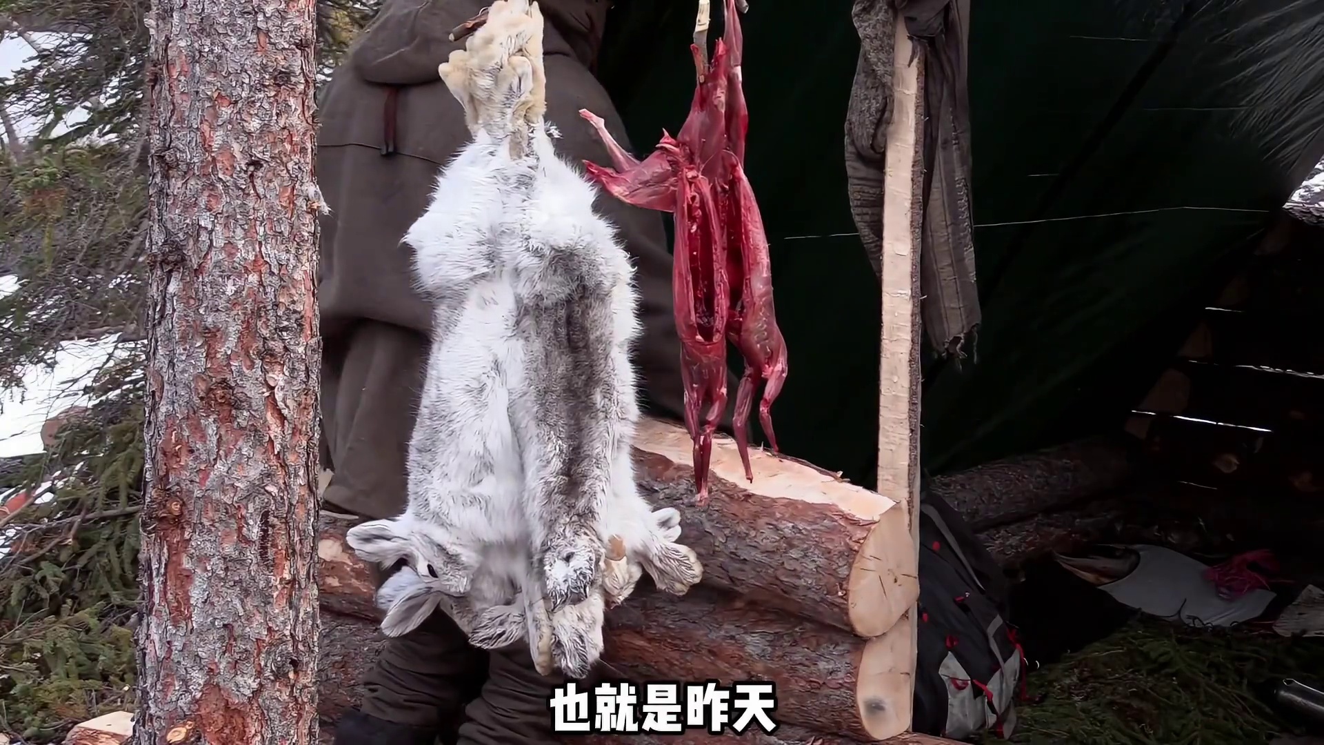 进行到第四十天难度再次加强一次就劝退两位选手 (3)