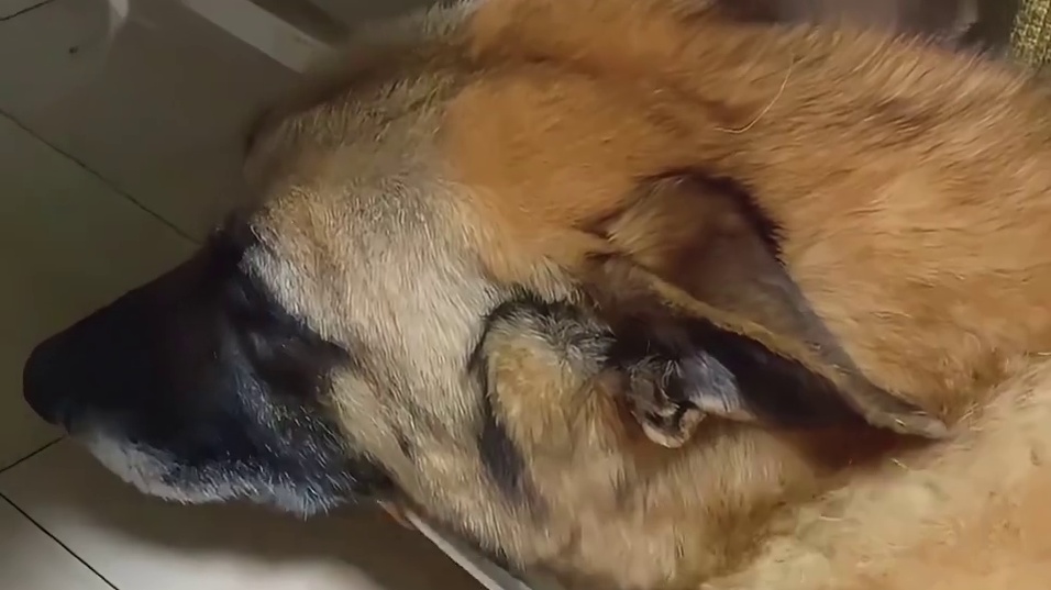 大力：你是知道的，我特长就是能搜