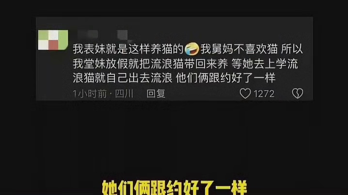 原来猫猫都很渣啊